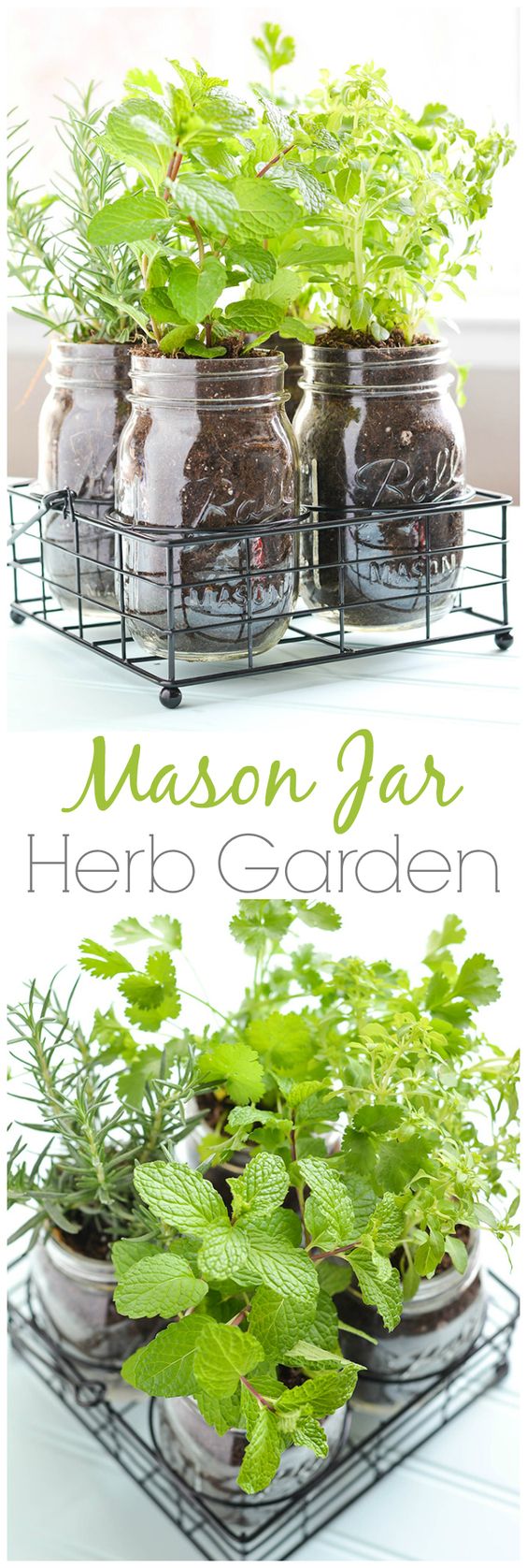 Mason Jar DIY Herb Garden. 