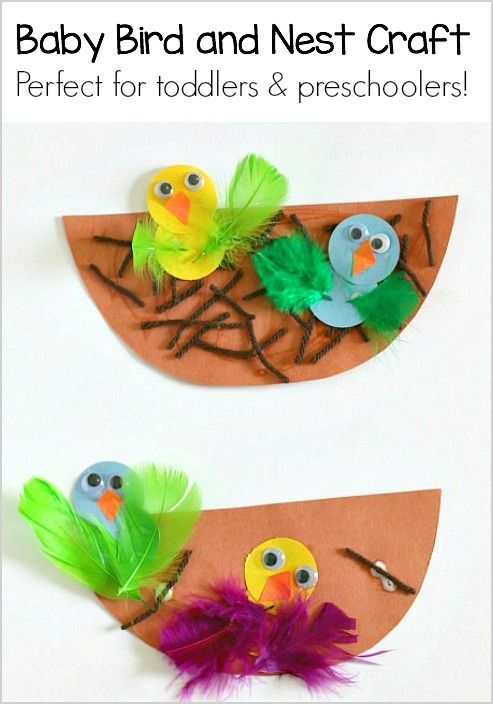 Nest and Baby Bird Craft. 