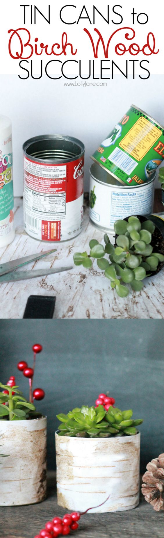 Birch Wood Tin Can Planters. 