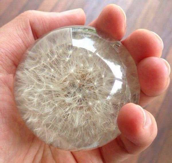 DIY Dandelion Paperweight. 