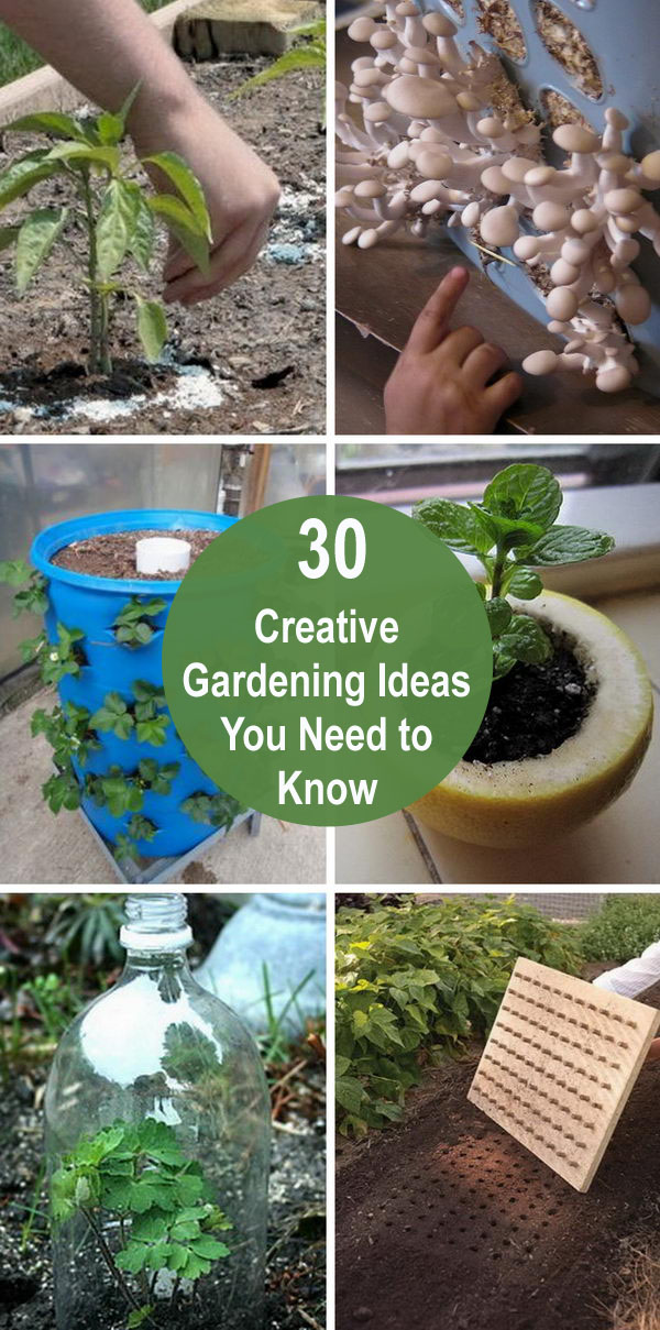 30 Creative Gardening Ideas You Need To Know. 