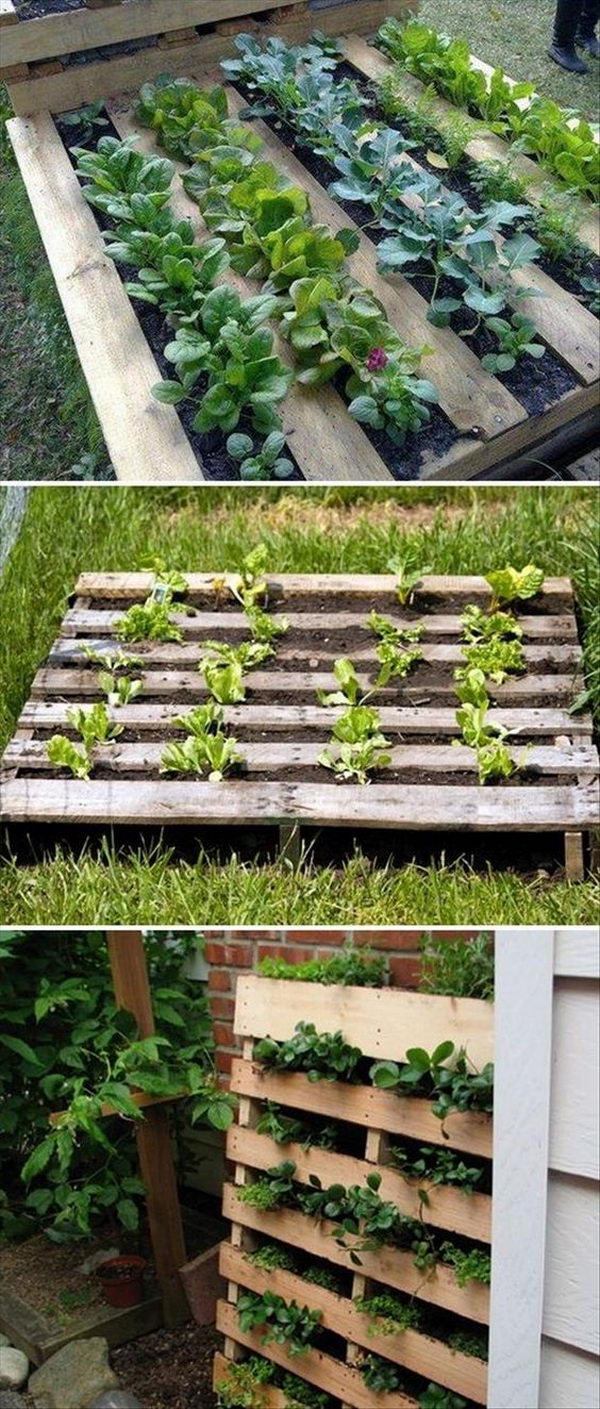 DIY Pallet Garden You Can Make In 7 Easy Steps. 