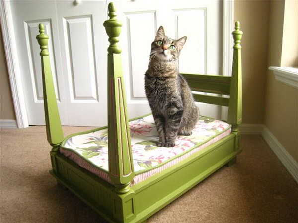 Turn The Table Upside Down Into A Cat Bed. 