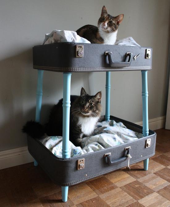 DIY Suitcase Pet Bed. 