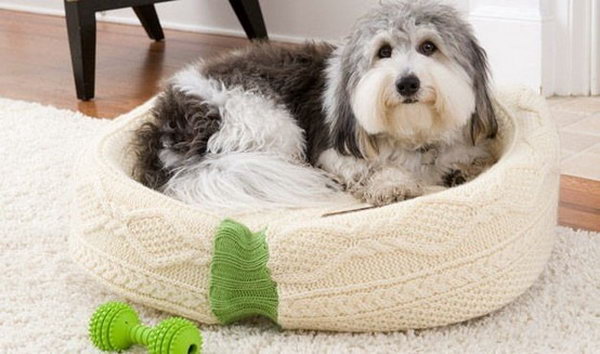 Make a Cat Bed from an Old Sweater. 