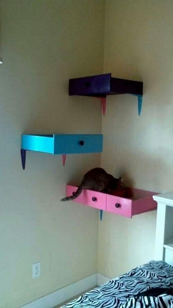 DIY Cat Shelving. 