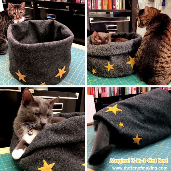 Magical 3-in-1 Cat Bed. 