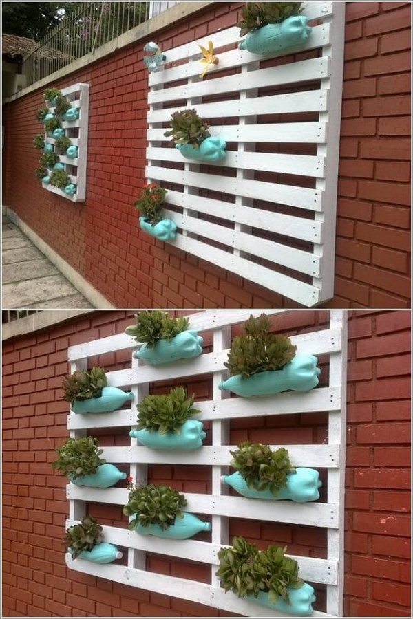 Plastic Bottle Made Vertical Garden. 