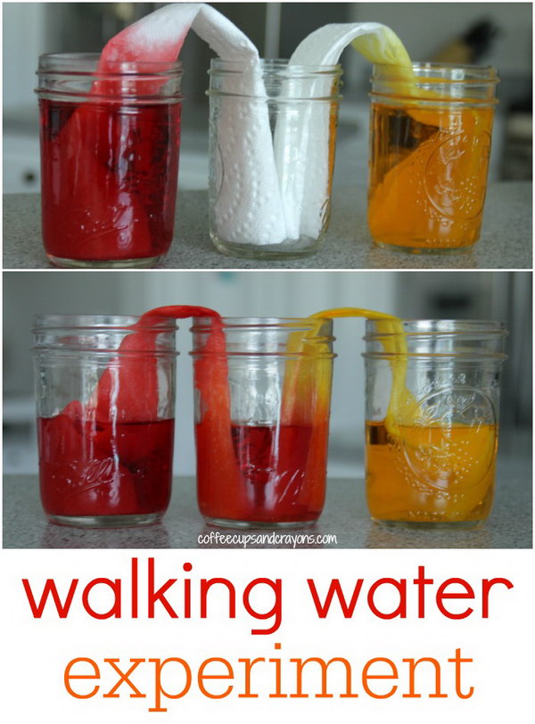 Walking Water Science Experiment for Kids.  