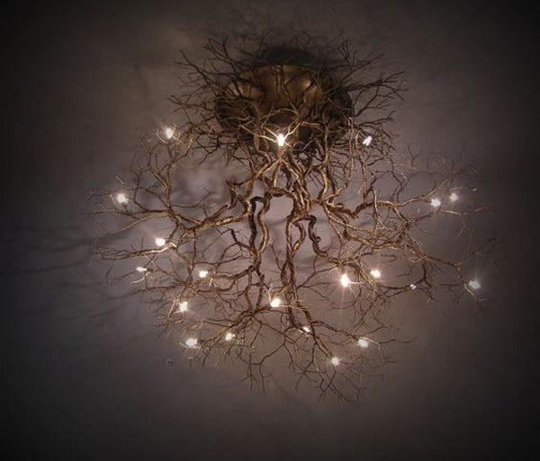 Tree Root Chandeliers. 