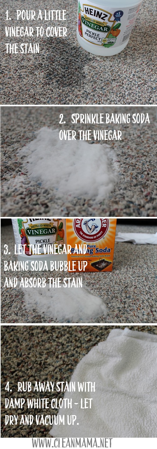 Step by Step Carpet Stain Removal. 