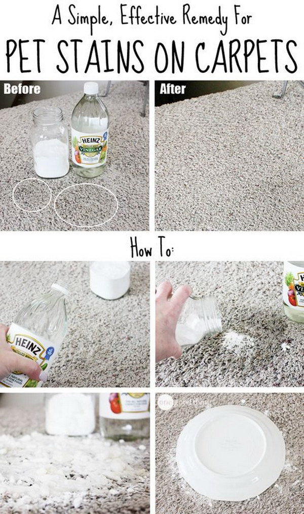 A Simple, Effective Remedy For Pet Stains On Carpets. 