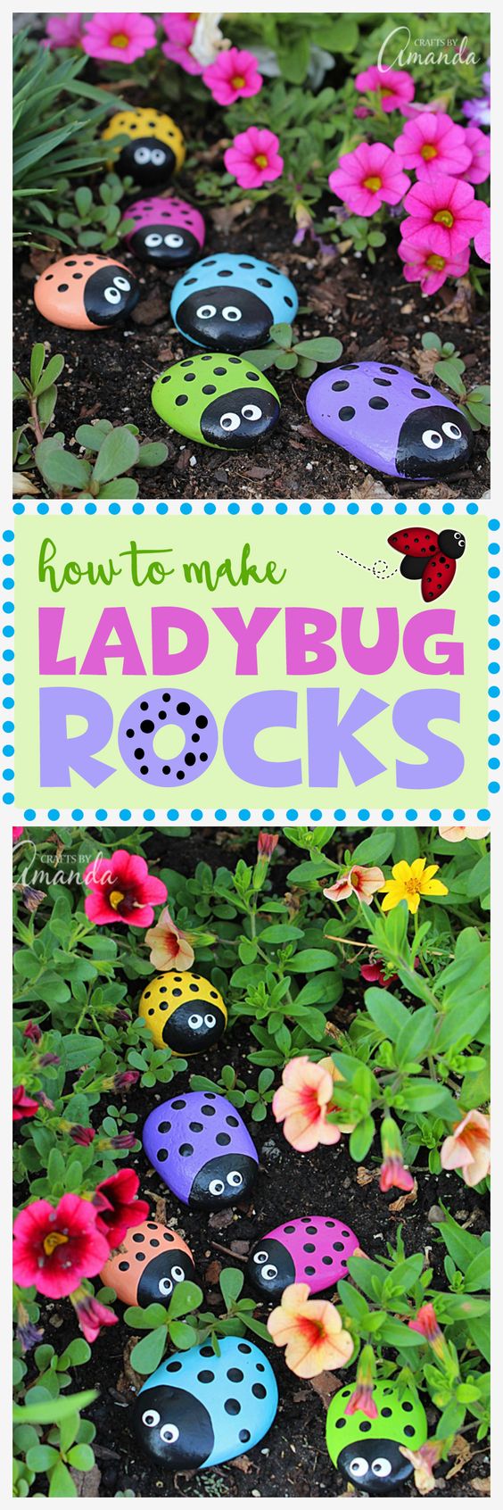 Ladybug Painted Rocks. 