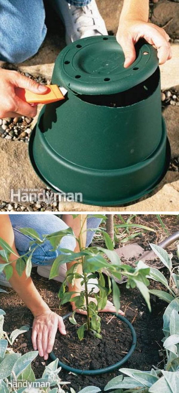 Prevent Invasive Plants from Spreading Using a Plastic Pot. 