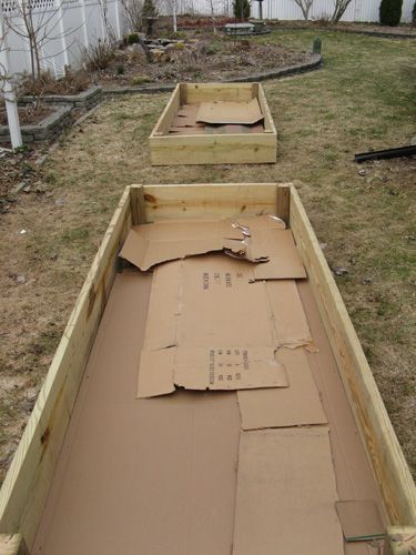 Make a Garden Bed over an Existing Lawn with Cardboard. 