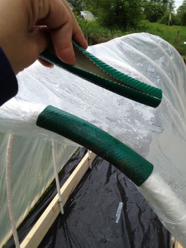 Use An Old Hose To Keep Plastic On A Raised Bed Garden. 