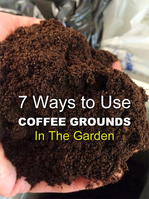Use Coffee Grounds in Your Garden. 