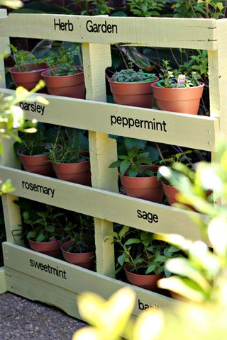 Make an Herb Garden from a Pallet. 