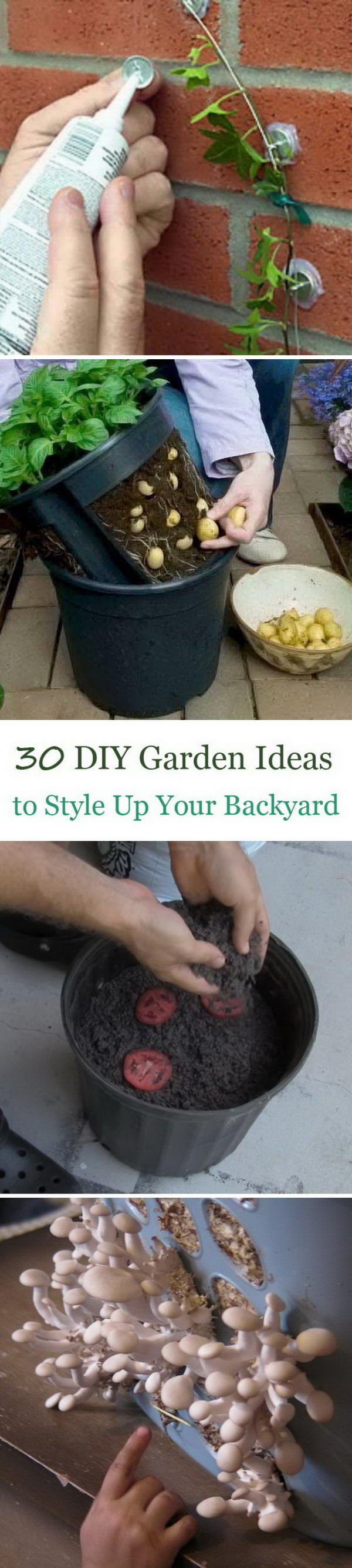 Lots of DIY Garden Ideas to Style Up Your Backyard to The Next Level. 