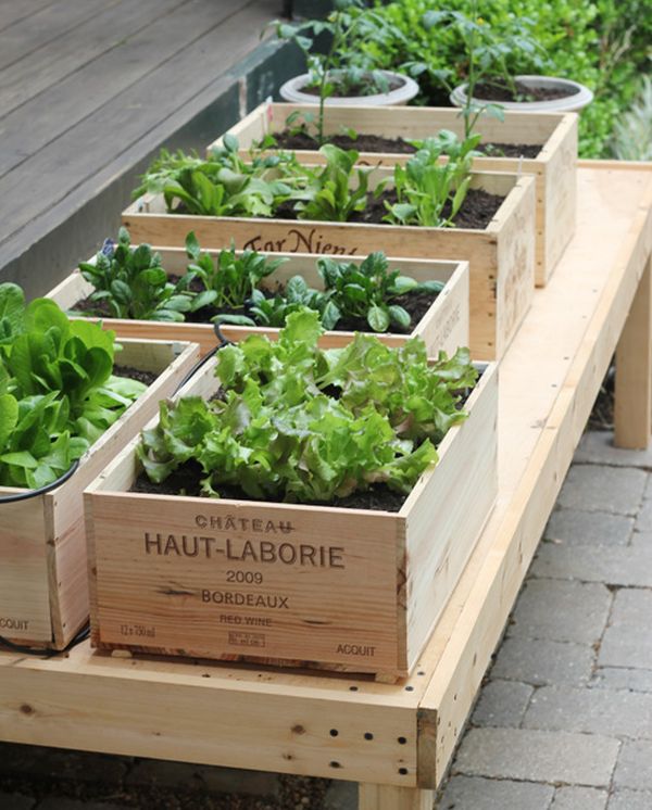 Recycled Wine Box Raised Garden Beds. 