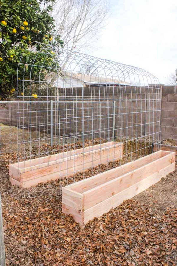 DIY Raised Garden Bed with Trellis. 