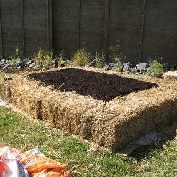 No-Dig Straw Bale Raised Garden Bed. 