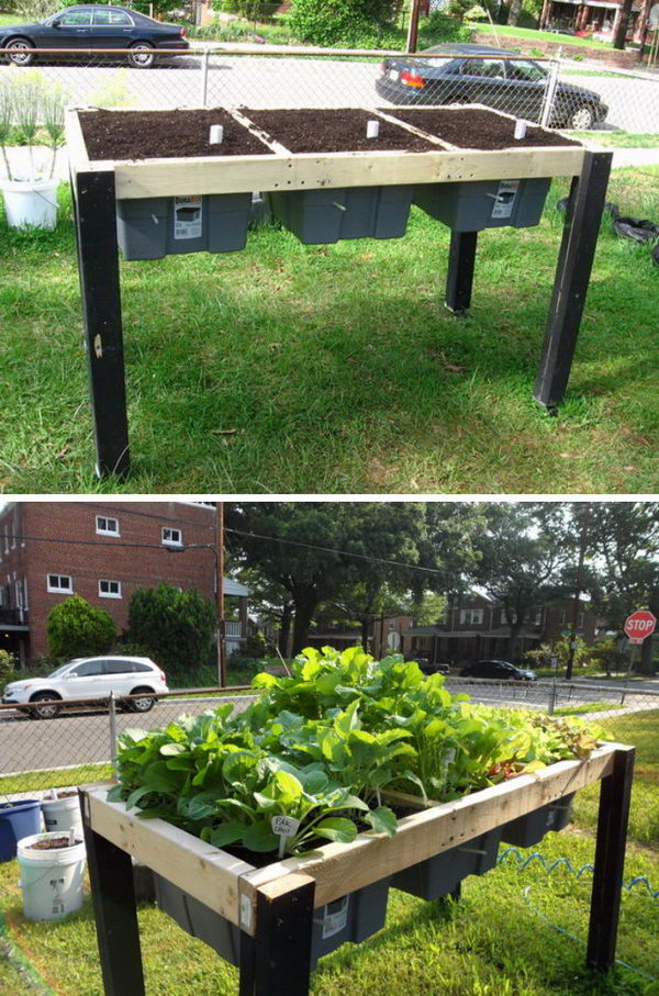 Self-Watering Salad Table. 