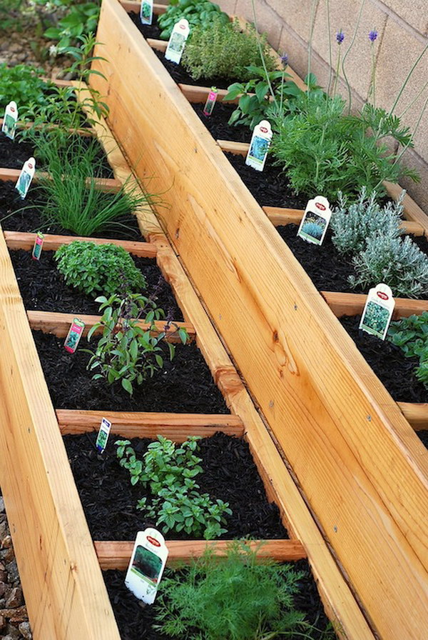 Divided Raised Herb Garden Bed. 