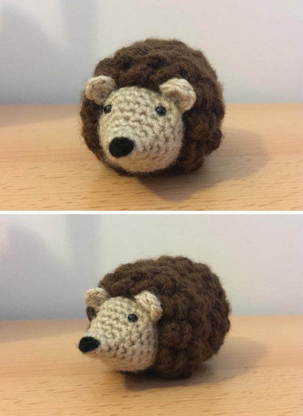 Mini Hedgehog. 