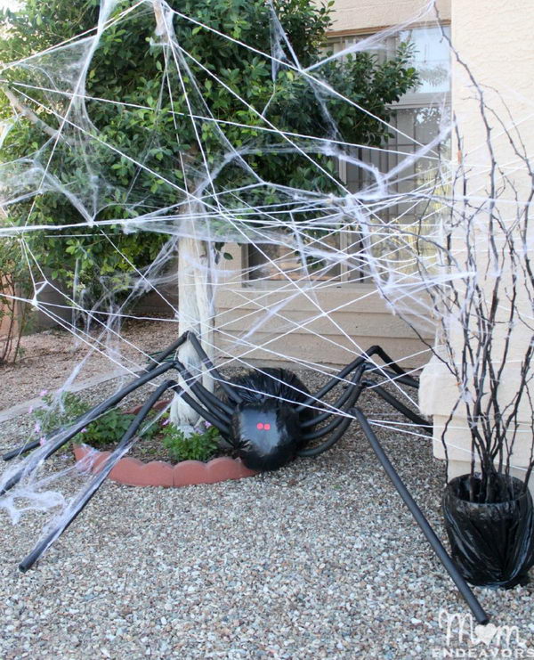 Trash Bag Spiders. 